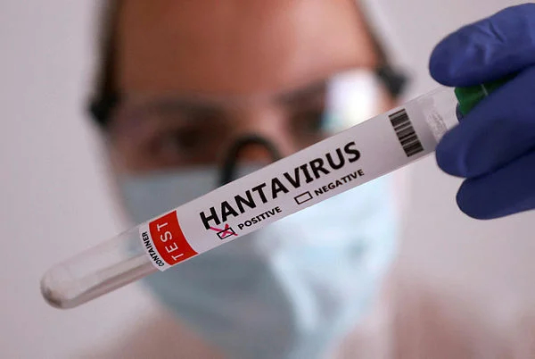 Hantavirusdan ölüm hallarının artması səbəbindən Çilidə sanitar həyəcan elan edilib