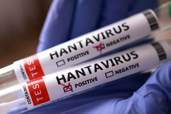 Chile issues first nationwide hantavirus health alert