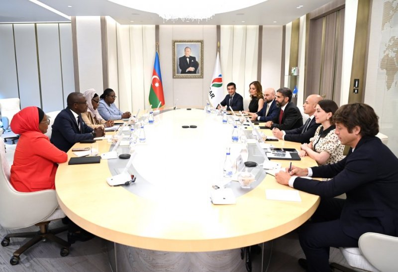   SOCAR, PETROCI review Baleine project progress  