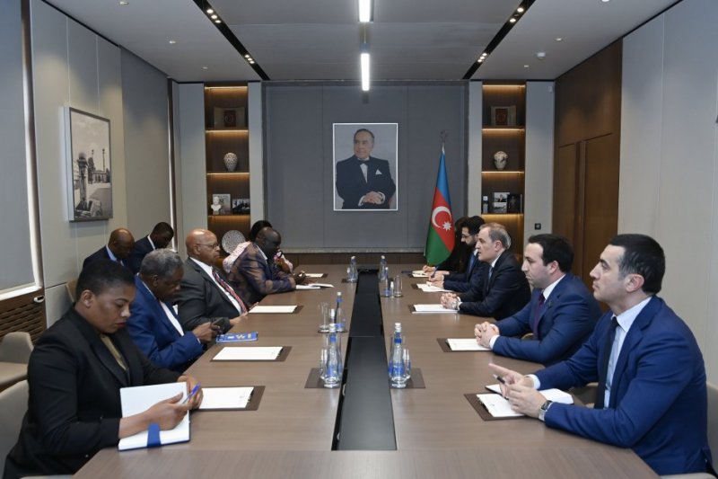 Azerbaijan, Zimbabwe explore expanding political dialogue