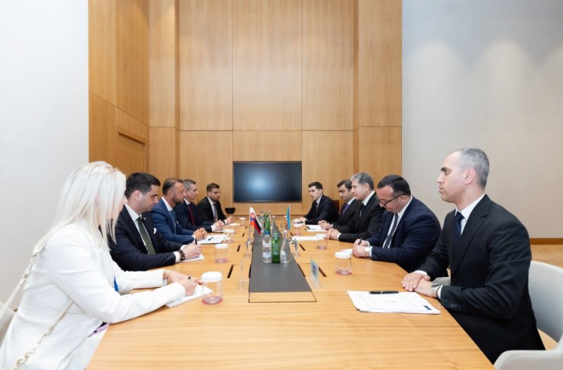 Azerbaijan, Slovakia step up cooperation on law enforcement