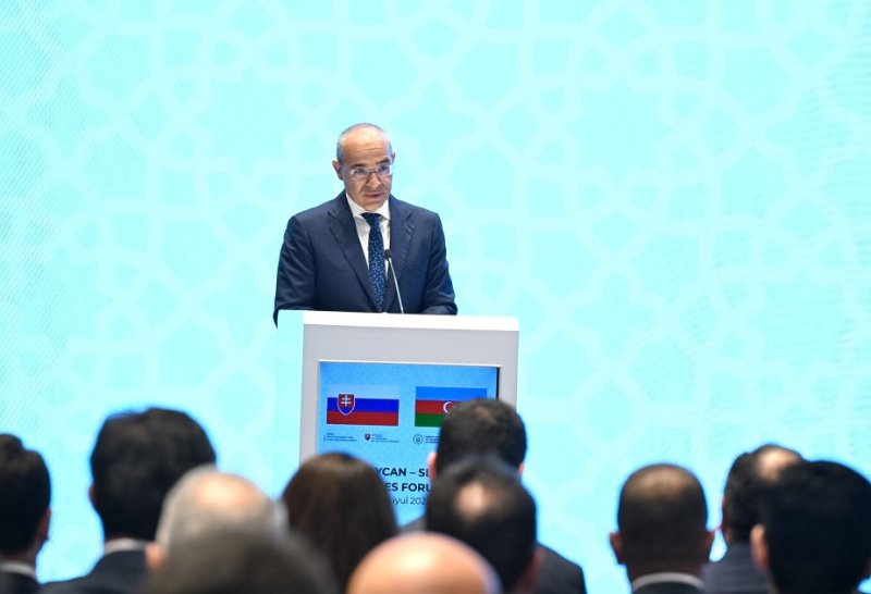 Azerbaijan plans to commission new international airport in Alat Free Economic Zone