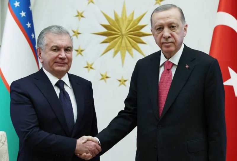 Erdogan invites Uzbekistan's Mirziyoyev to COP31 in Antalya