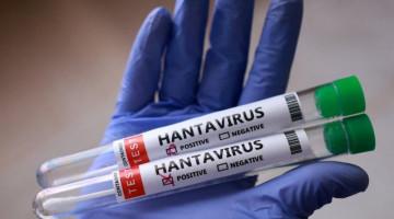 Venezuela confirms three deaths from hantavirus