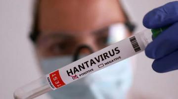Hantavirusdan ölüm hallarının artması səbəbindən Çilidə sanitar həyəcan elan edilib