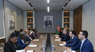 Azerbaijan, Zimbabwe explore expanding political dialogue
