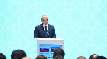 Azerbaijan plans to commission new international airport in Alat Free Economic Zone