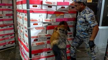 İrandan Rusiyaya narkotik keçirilməsinin qarşısı alınıb
