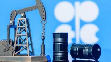 OPEC oil output rebounds as major producers boost production