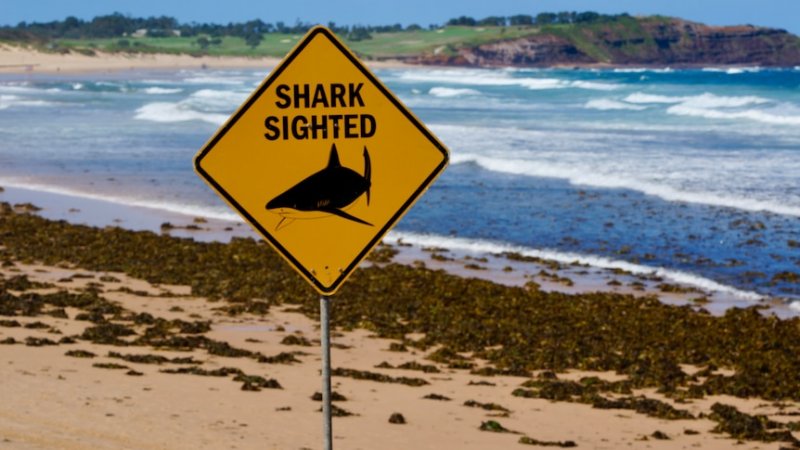 Surfer injured in Western Australia shark attack