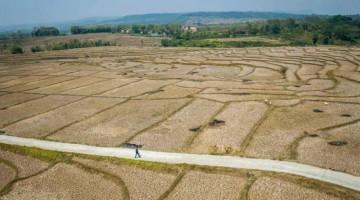 Global warming likely to cross 1.5°C threshold in coming years: UNEP