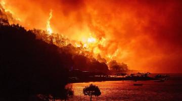 Wildfire smoke linked to 100,000 deaths annually, WMO says